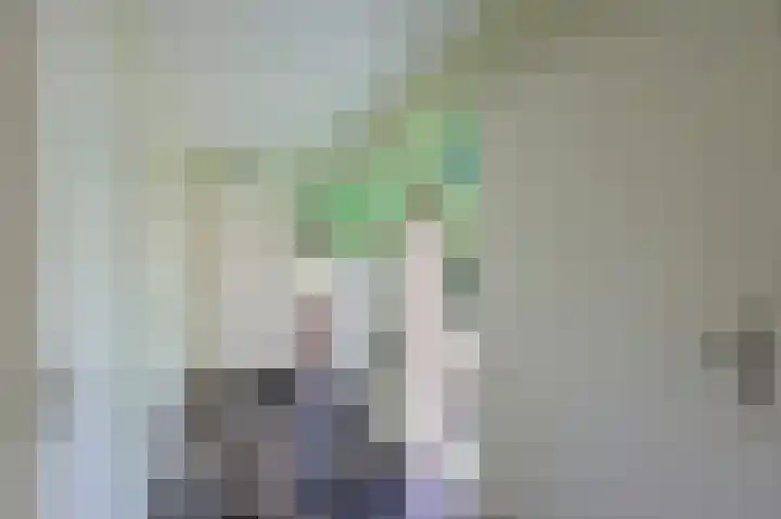 Groene Allee 2 a Ermelo thumbnail 6
