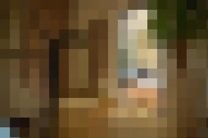 Groene Boord 9 Heerlen thumbnail 14
