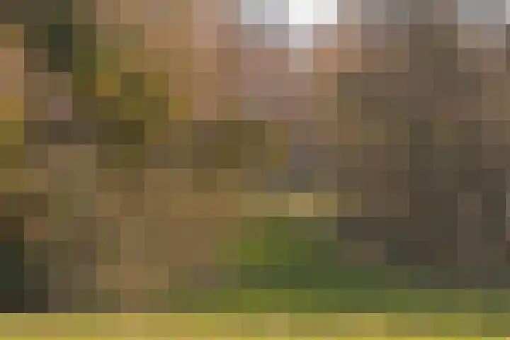 Groene Boord 9 Heerlen thumbnail 25