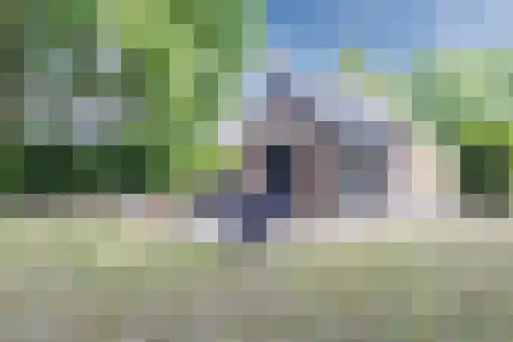 Groene Heuvels 181 Ewijk thumbnail 7