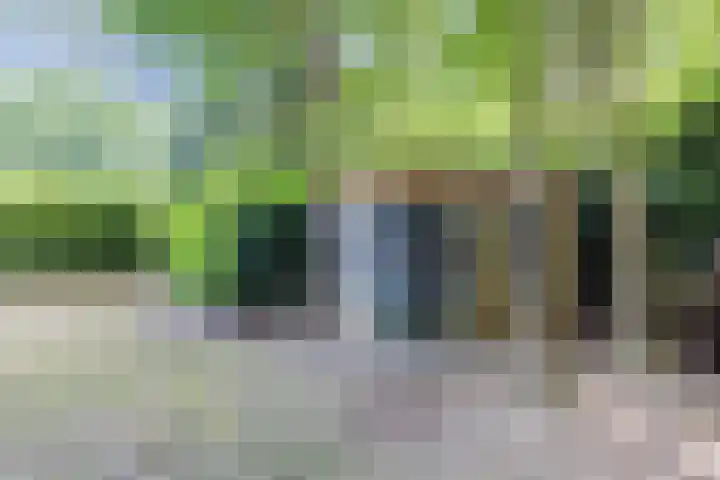 Groene Heuvels 181 Ewijk thumbnail 8