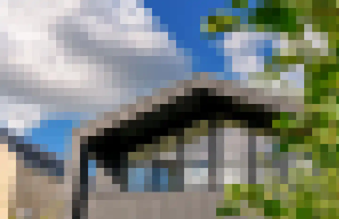Groene kikker 4 Muiden thumbnail 24