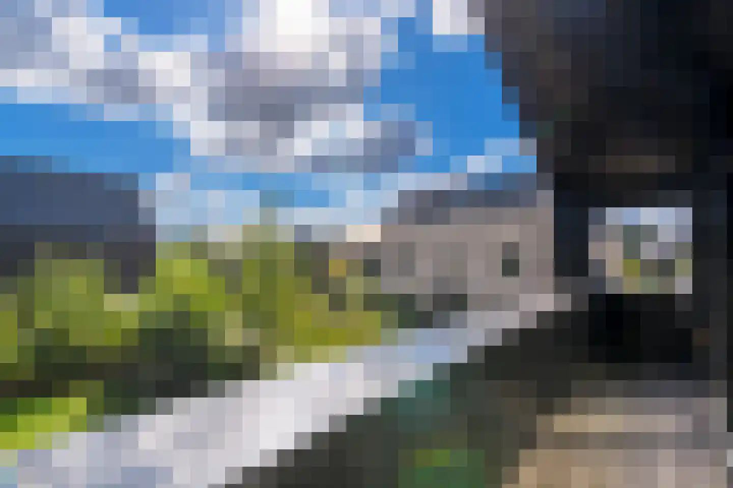 Groene kikker 4 Muiden thumbnail 25