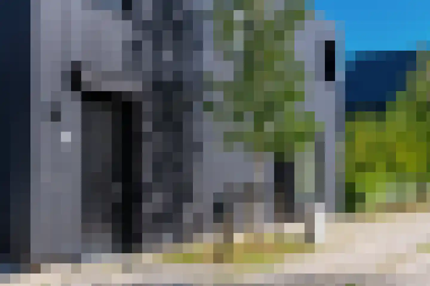 Groene kikker 4 Muiden thumbnail 29