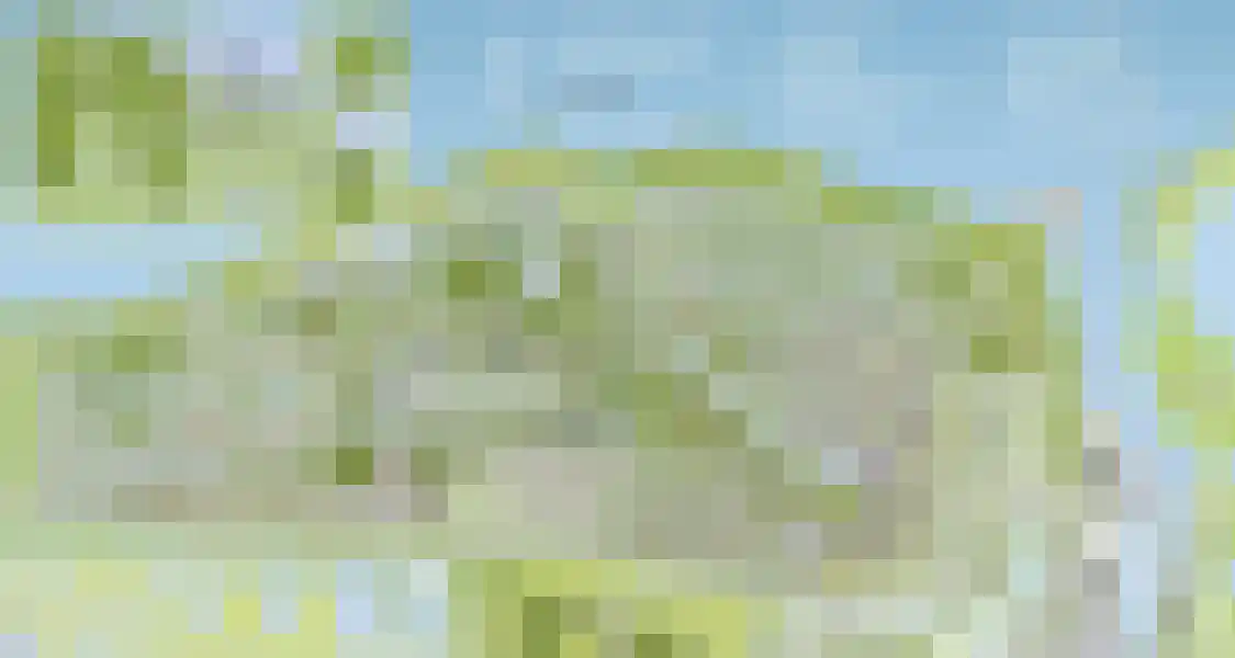 Groene kikker 4 Muiden thumbnail 35