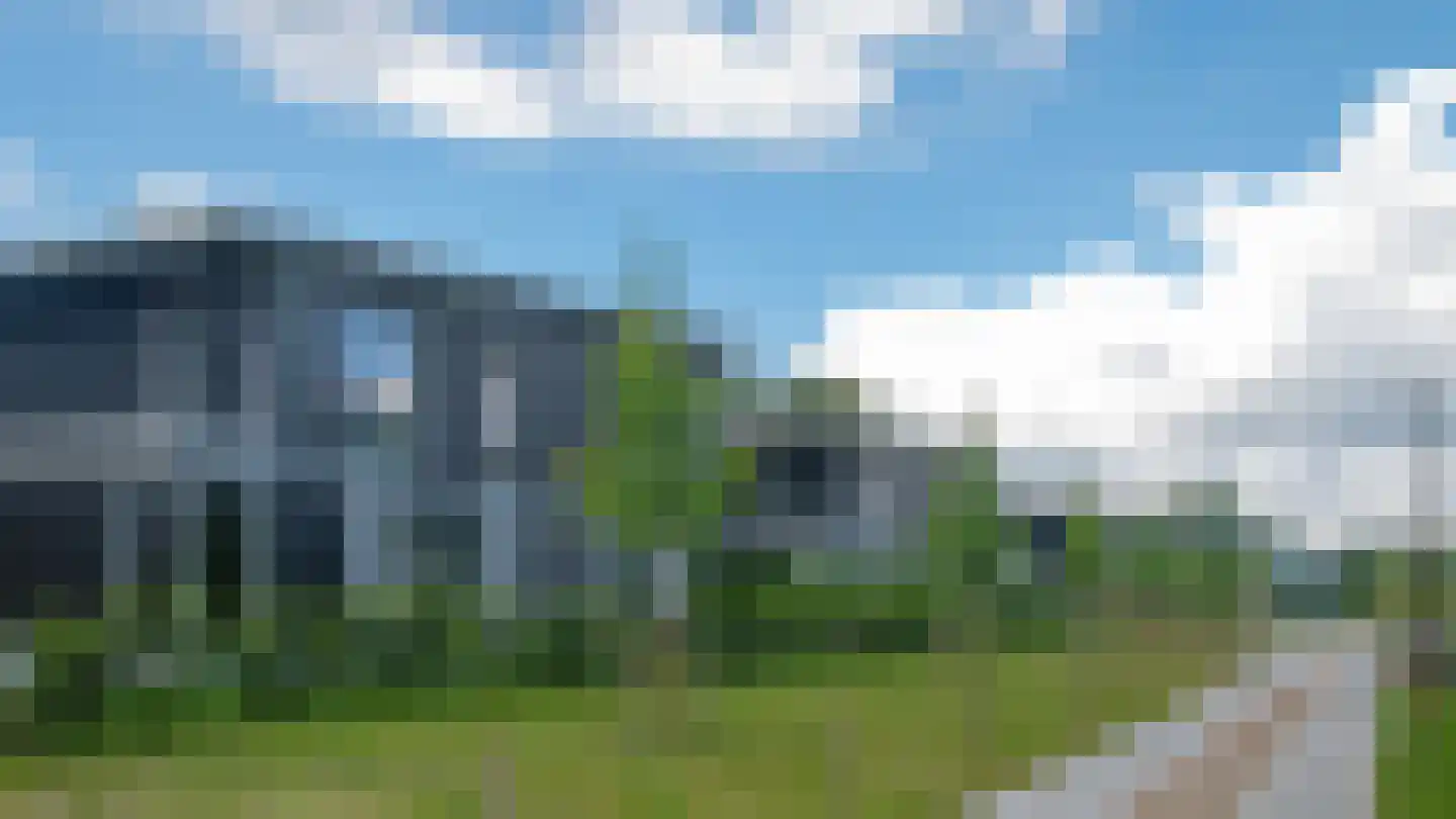 Groene kikker 4 Muiden thumbnail 37