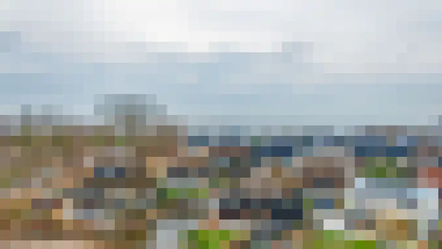 Groene kikker 4 Muiden thumbnail 38