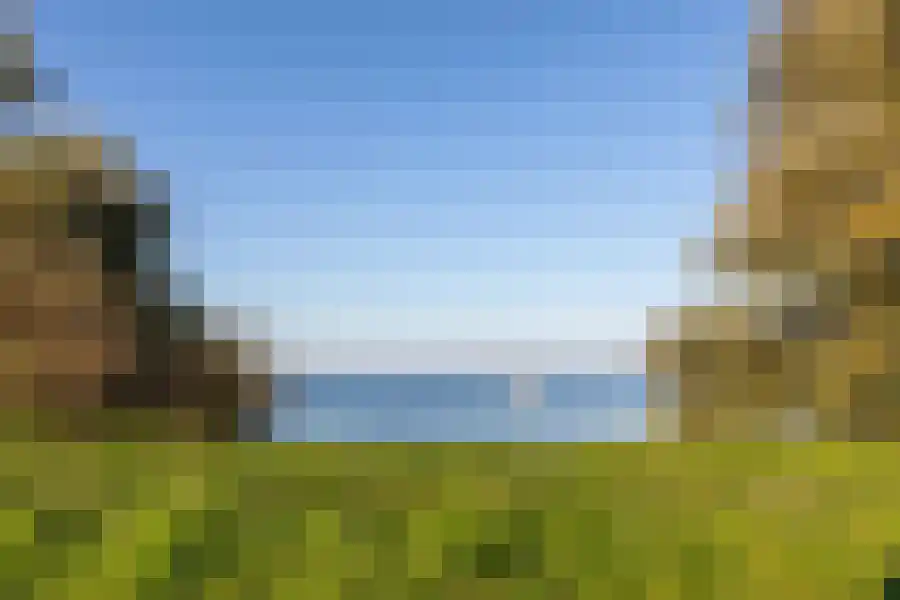Groene kikker 4 Muiden thumbnail 39
