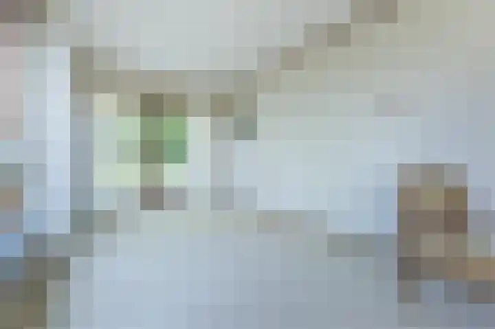 Groene Kruisweg 12 Numansdorp thumbnail 10