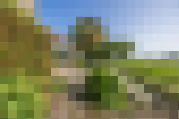 Groene Kruisweg 12 Numansdorp thumbnail 51