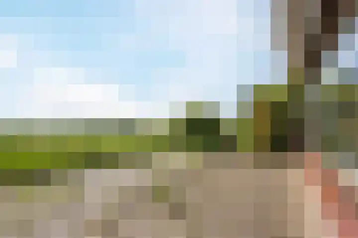Groene Kruisweg 12 Numansdorp thumbnail 53
