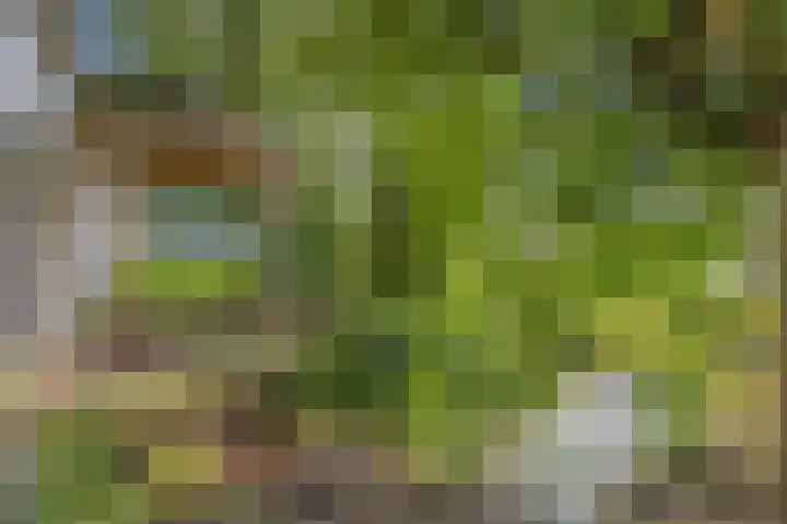 Groene Kruisweg 12 Numansdorp thumbnail 54