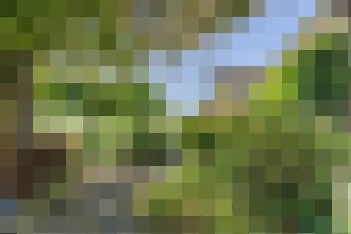 Groene Kruisweg 12 Numansdorp thumbnail 55