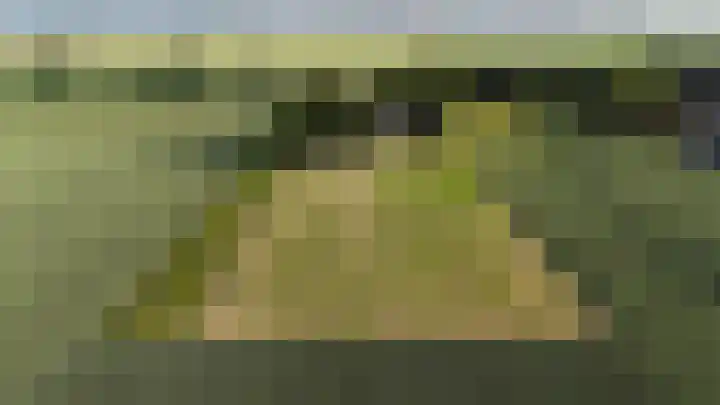 Groene Kruisweg 12 Numansdorp thumbnail 58