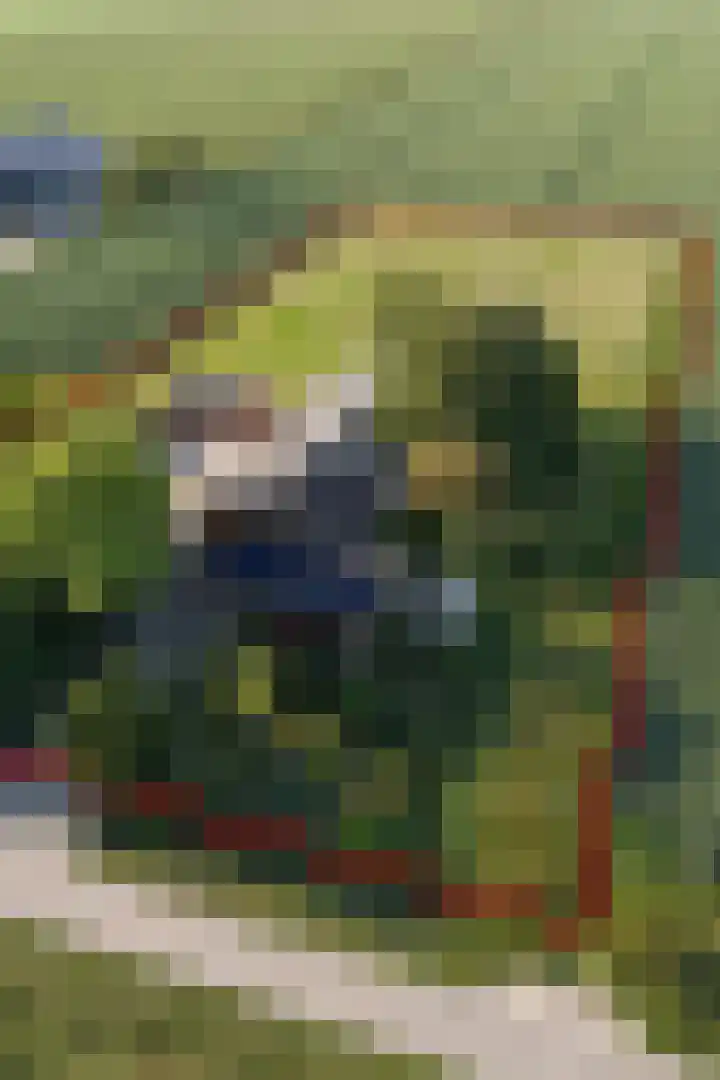 Groene Kruisweg 12 Numansdorp thumbnail 59