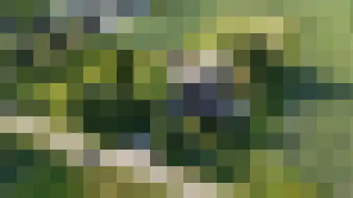 Groene Kruisweg 12 Numansdorp thumbnail 6