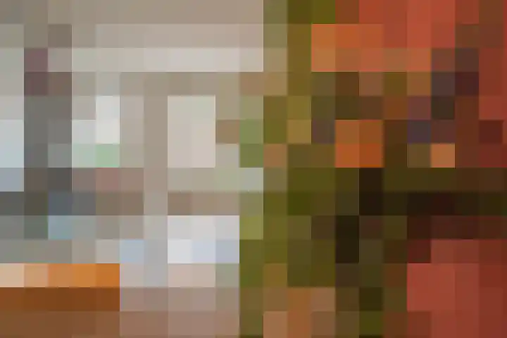Groene Loper 36 Bleiswijk thumbnail 18