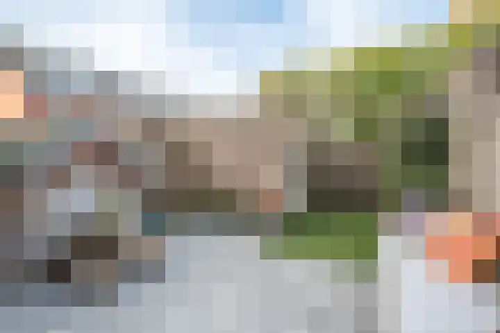Groene Loper 36 Bleiswijk thumbnail 41