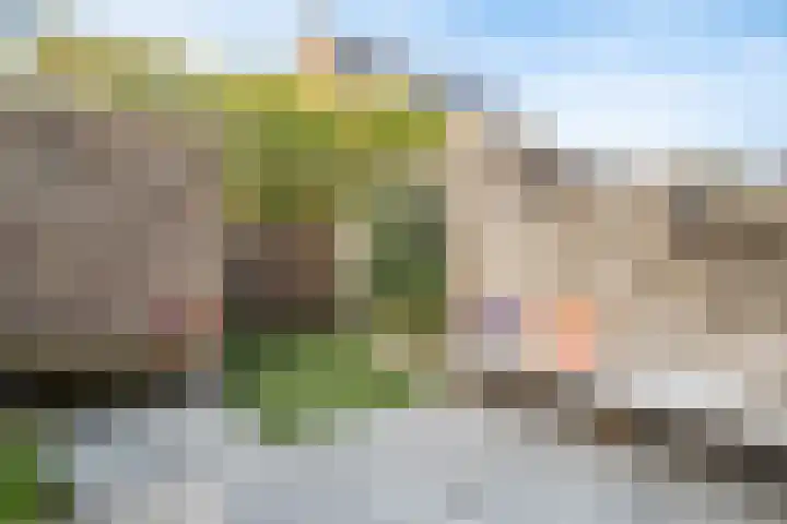 Groene Loper 36 Bleiswijk thumbnail 42