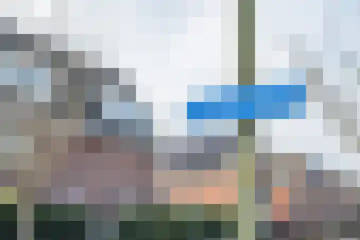 Groene Loper 36 Bleiswijk thumbnail 45
