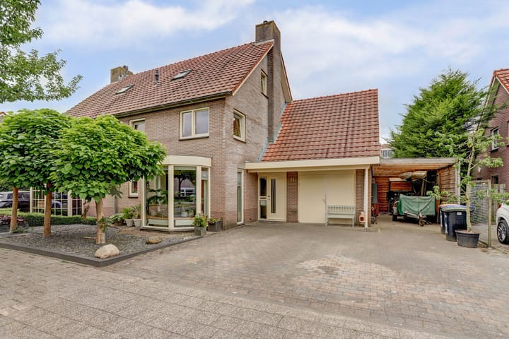 Groene Specht 11 in Zeewolde foto