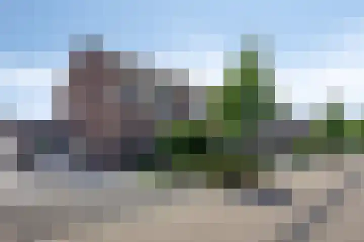 Groene Specht 12 Eijsden