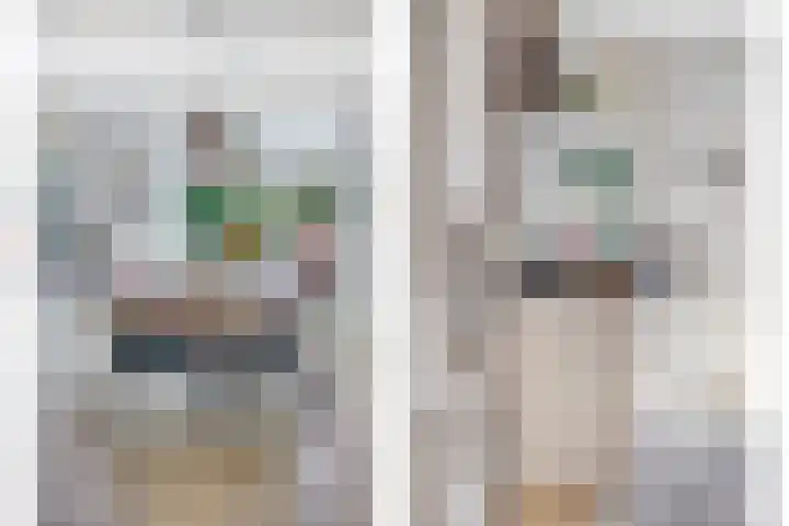 Groene Specht 12 Eijsden thumbnail 11