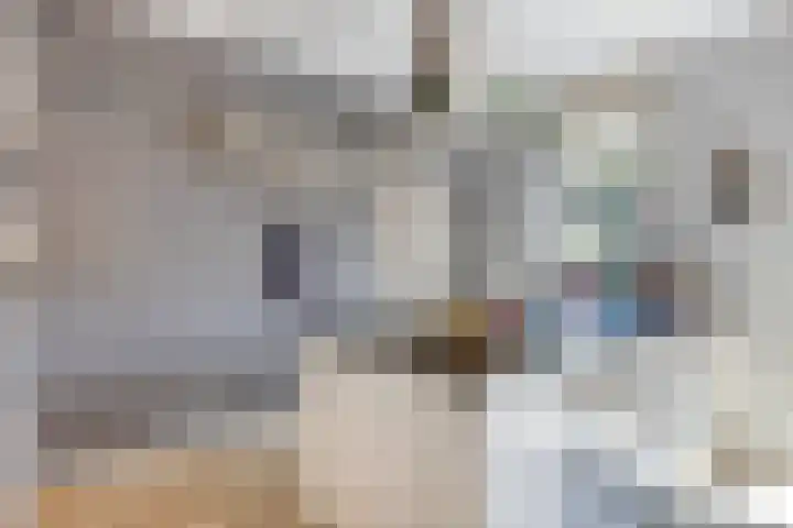 Groene Specht 12 Eijsden thumbnail 12