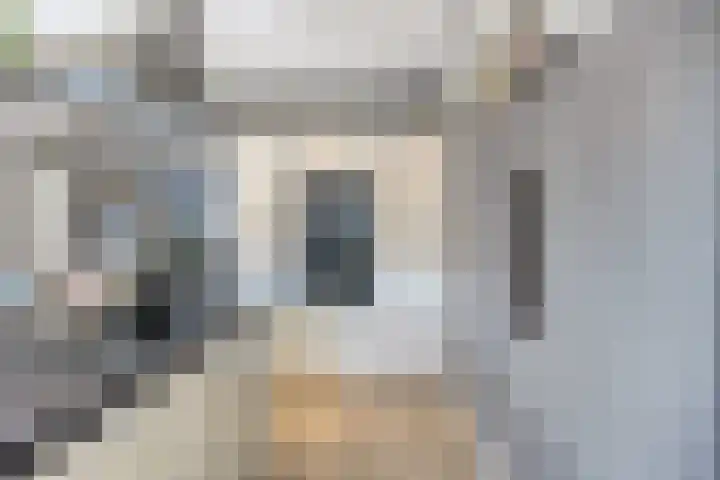 Groene Specht 12 Eijsden thumbnail 13
