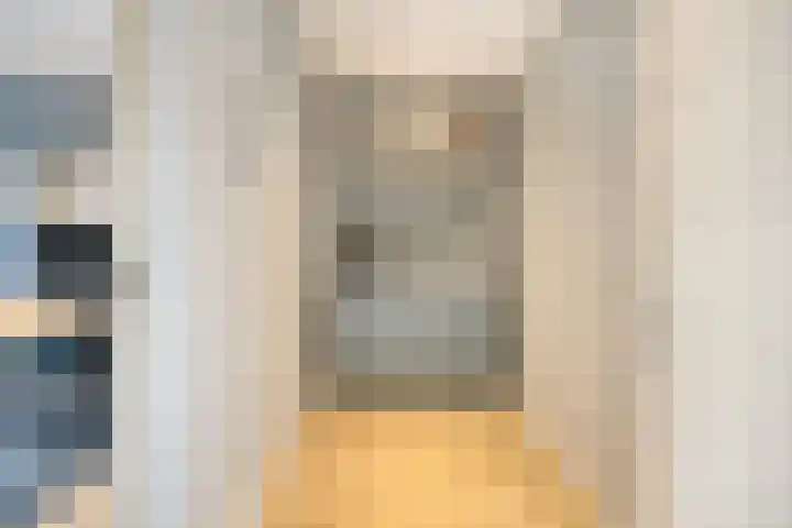 Groene Specht 12 Eijsden thumbnail 15