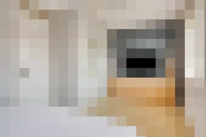 Groene Specht 12 Eijsden thumbnail 20