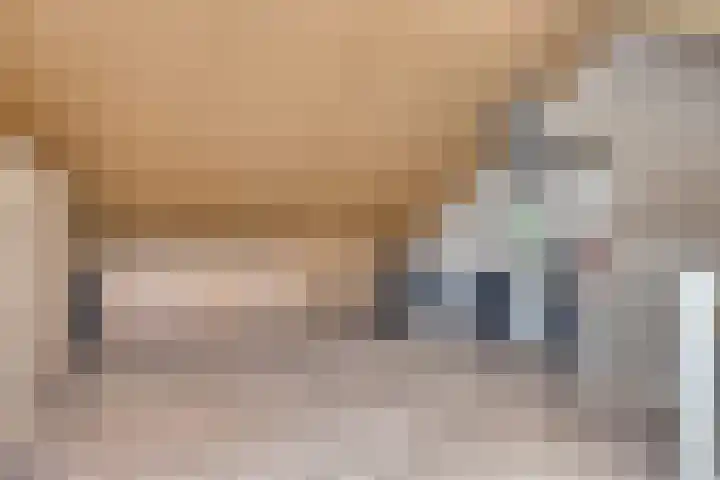 Groene Specht 12 Eijsden thumbnail 27