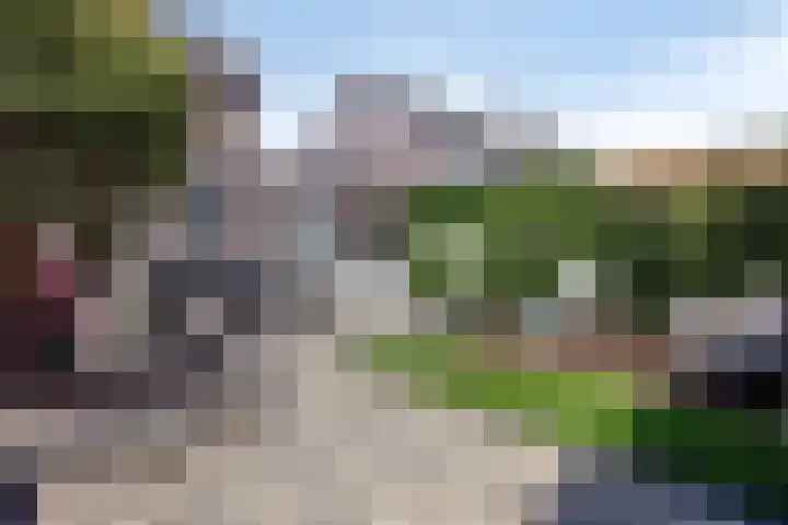 Groene Specht 12 Eijsden thumbnail 29