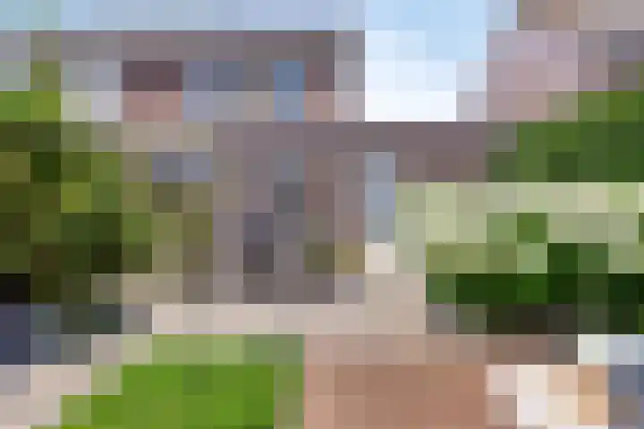 Groene Specht 12 Eijsden thumbnail 31