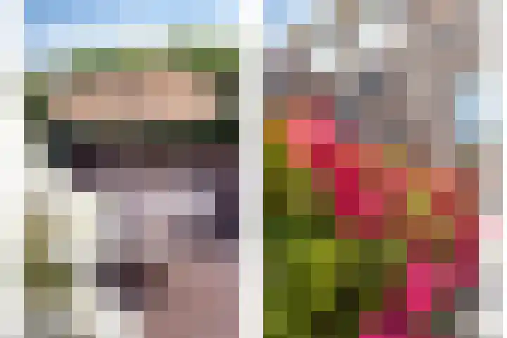 Groene Specht 12 Eijsden thumbnail 32