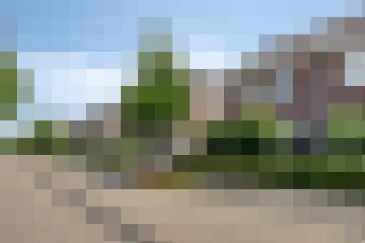 Groene Specht 12 Eijsden thumbnail 34