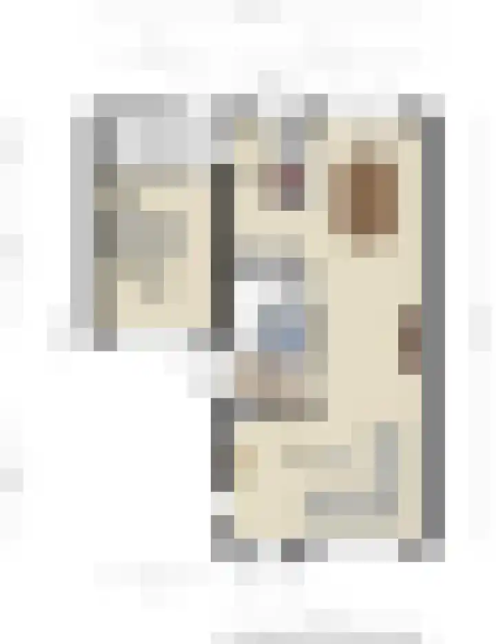 Groene Specht 12 Eijsden thumbnail 38