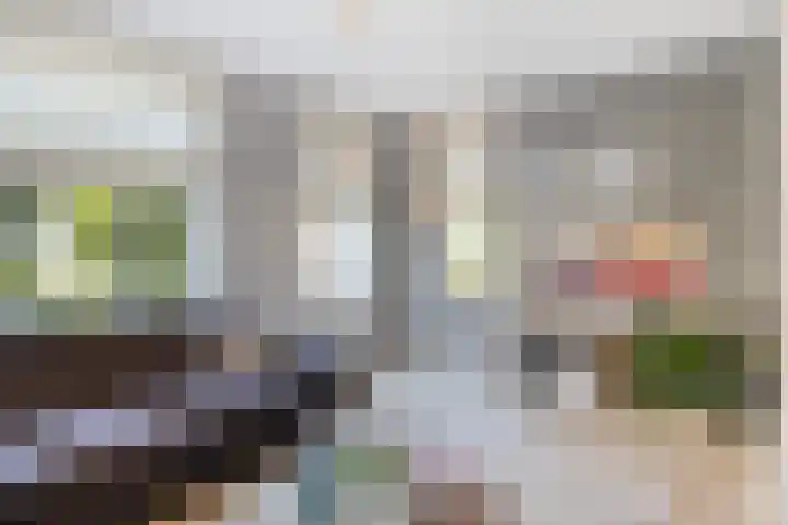 Groene Specht 12 Eijsden thumbnail 5