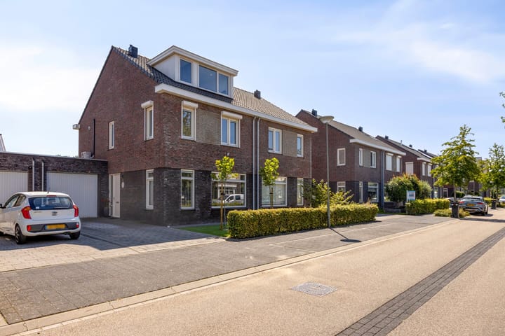 Groene Specht 16 in Eijsden foto