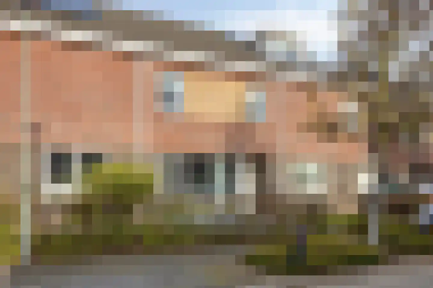 Groene Specht 33 in Eijsden