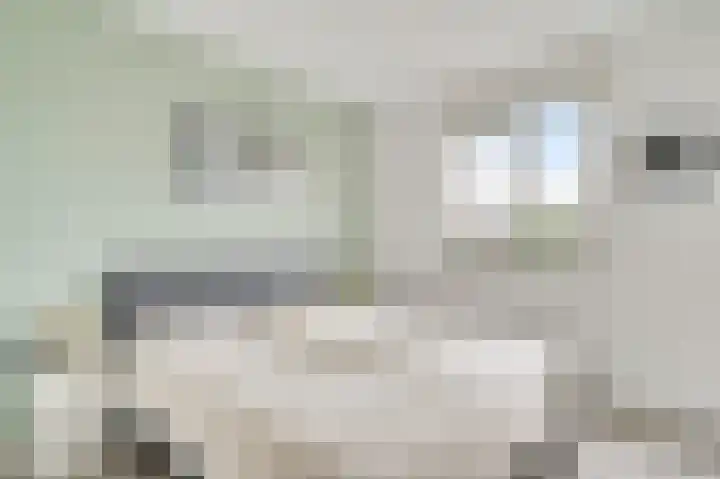 Groene Specht 6 Eijsden thumbnail 11