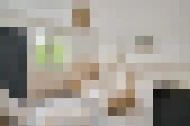 Groene Specht 6 Eijsden thumbnail 13