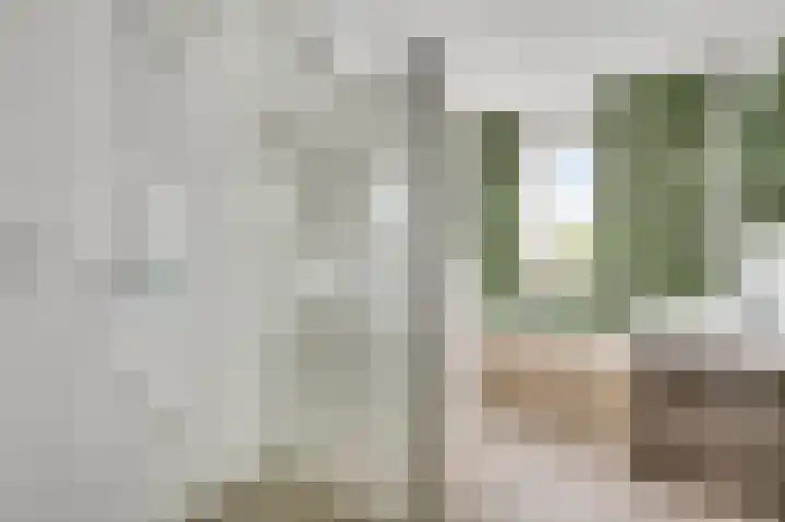 Groene Specht 6 Eijsden thumbnail 14