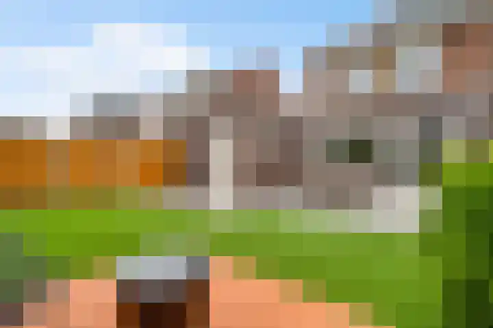 Groene Specht 6 Eijsden thumbnail 17