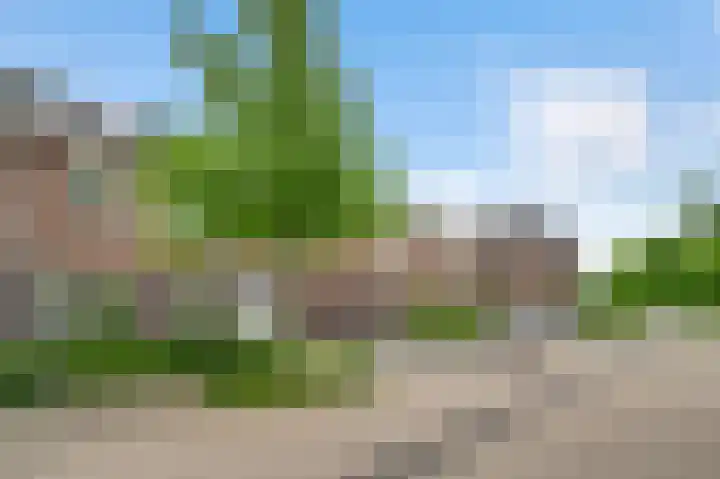 Groene Specht 6 Eijsden thumbnail 19