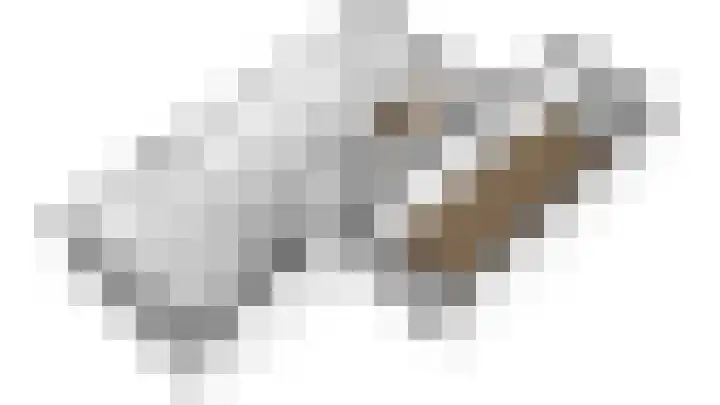Groene Specht 6 Eijsden thumbnail 24