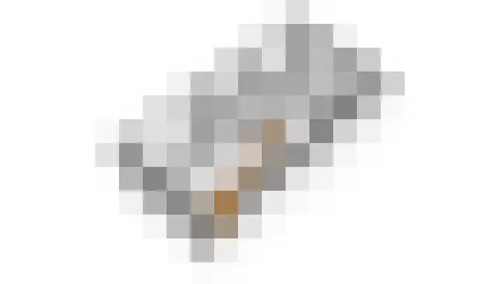 Groene Specht 6 Eijsden thumbnail 26