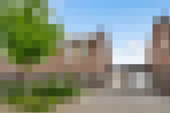 Groene Specht 6 Eijsden thumbnail 29