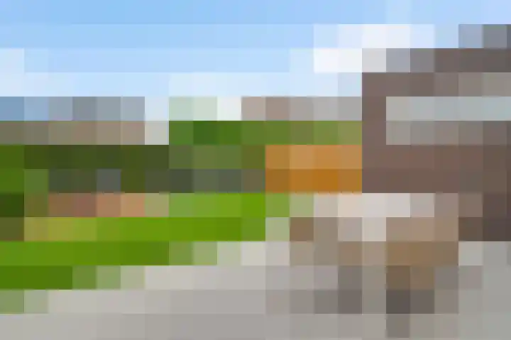 Groene Specht 6 Eijsden thumbnail 4