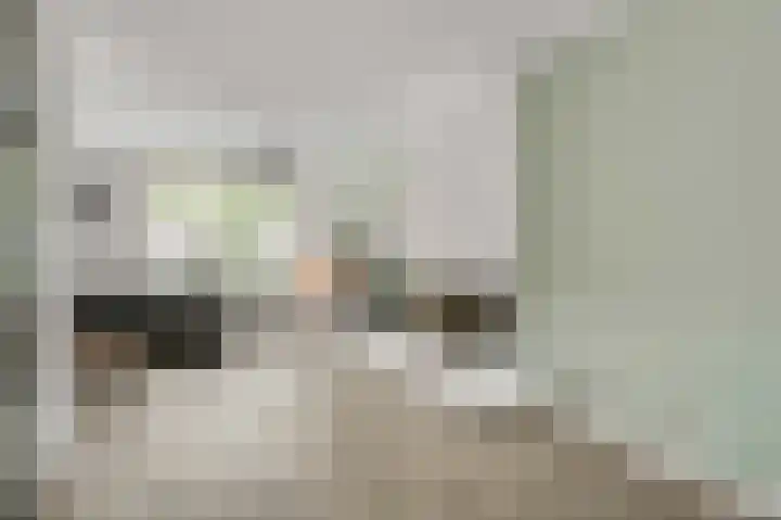Groene Specht 6 Eijsden thumbnail 6